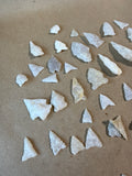 Lot Of Arrowheads (E)