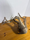 Large Piece Of Driftwood (B)