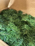 Sealed Box Timberline 40FT Canadian Pine Garland (3 AVAILABLE—PRICED INDIVIDUALLY AT $25 EACH)