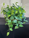 Artificial Trailing Pothos in Woven Hand Basket