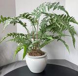 Faux Fern in Crackled Ceramic Pot