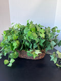 Artificial Ivy Greenery In Basket
