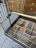 Bird Cage (A)