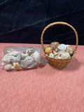 Small Basket Full of Shells Plus an Additional bag of Shells