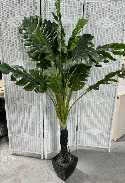 Faux Swiss Cheese Ficus Style Plant