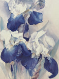 Large Iris Print by Vernon; Signed
