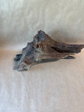 Small Driftwood (A)