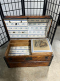 Petite Steamer Trunk on Casters with Leather Side Handles