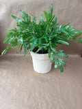 Artificial Potted Plant