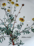Villeroy & Boch Botanica Floral Oval Melamine Tray