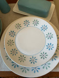 Aqua Mixed Dish Set with MCM Mikasa Cera Stone Asterisk pattern