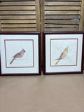 Pair of Male & Female Cardinal Drawings