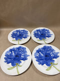 Royal Stafford Blue Poppy Salad Plates - Set Of 4 (A)