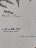 Eastern Bluebird Limited Edition Print by E. Dudley Williams; Signed