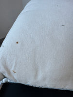 Pair of Seashell Embroidered Throw Pillows