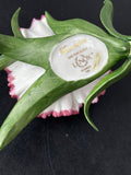 Lenox Porcelain Carnation