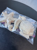 5-Piece Kirklands Heavyweight Glittery Beach Ornaments