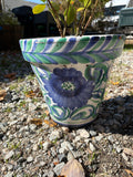 C-Floral Glazed Terracotta Planter w/Plant