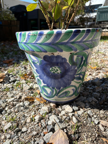 C-Floral Glazed Terracotta Planter w/Plant