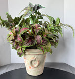Faux Greenery in Textured Terracotta Pot