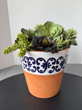 Faux Succulent Arrangement in Terracotta Pot with Blue & White Design