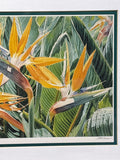 Bird of Paradise Print by Scott Bader; Signed