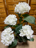 Faux White Hydrangea in Pot