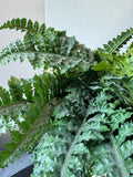 Artificial Fern in Textured Paper Mache Pot
