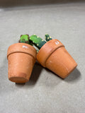 Pair Of Mini Artificial Cactus Plants
