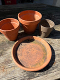 Terracotta Pots (3) and Saucer
