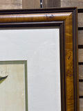 Mark Catesby Print of The Hooded Titmouse