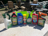 Garden Lot B, Most about half full