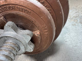 EZ Weightlifting Curl Bar with Adjustable Plates