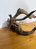 Large Piece Of Driftwood (B)