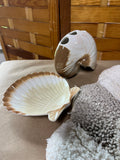 Seashell Bath Lot H in Canvas Tote