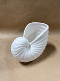 Ceramic Seashell Planter