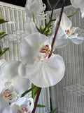 Faux White Orchids in Yellow Glass Cylindrical Vase