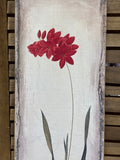 Tall Ixia Filiformis Print on Burlap