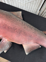 Chinook King Salmon Taxidermy Mount AS IS (READ DESCRIPTION CAREFULLY)