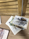 Wildlife Card Lot With Envelops (B)
