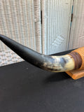 Mounted Longhorn Steer Horns