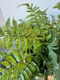 Faux Fern in Glazed Terracotta Pot