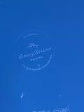 Tommy Bahama Blue Plastic Plates, 4 pc