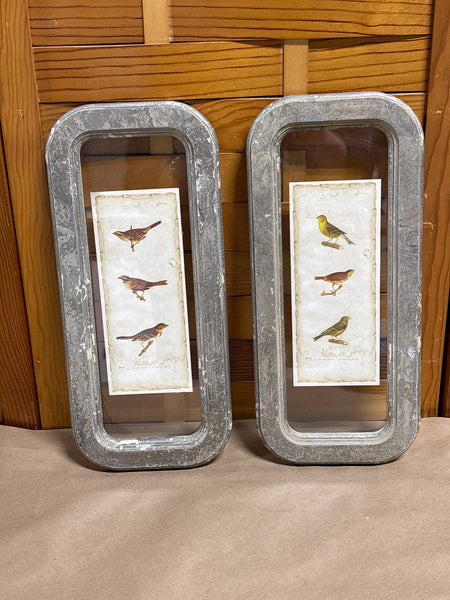 Pair of Framed Bird Prints