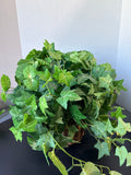 Artificial Ivy Greenery In Basket