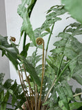 Faux Fern in Crackled Ceramic Pot