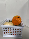 Fall Lot
