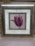 Print of Tulip by P. Murray; Signed