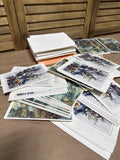 Wildlife Scenery Card Lot (A)