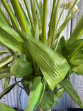 XL Cream & Green Faux Floral Arrangement in Glass Vase